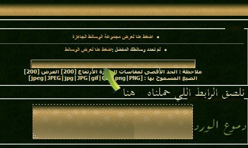 ������ ����� ���� ����� ������ domain-5ad298c101.jpg