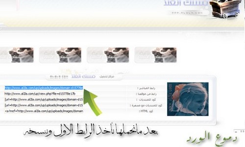 ������ ����� ���� ����� ������ domain-8f980af74e.jpg