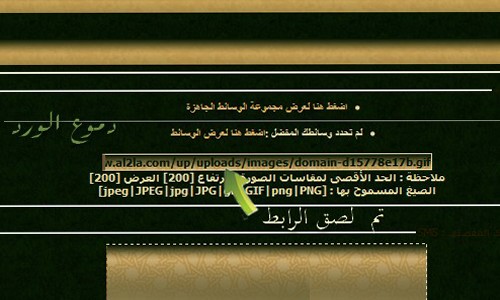 ������ ����� ���� ����� ������ domain-990f7b782d.jpg