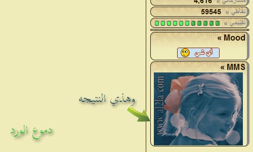 ������ ����� ���� ����� ������ domain-9ec2840ba2.jpg